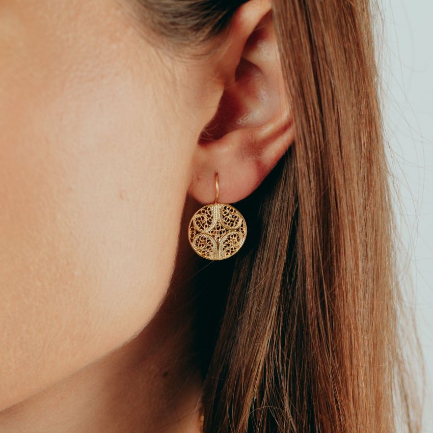 Earrings Circles in 9Kt Gold 