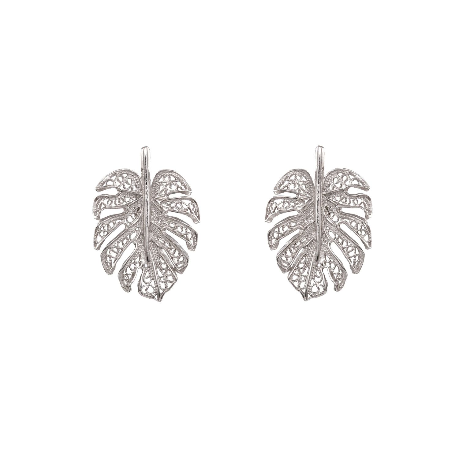 Earrings Monstera in Silver 