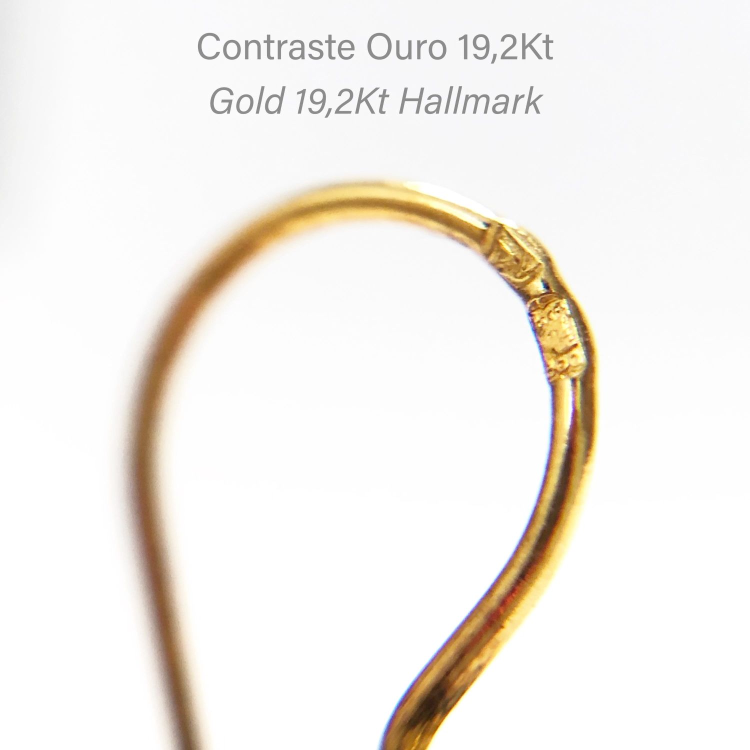 Earrings Circles in 19,2Kt Gold Earrings Circles in 19,2Kt Gold