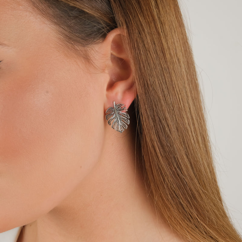 Earrings Monstera in Silver