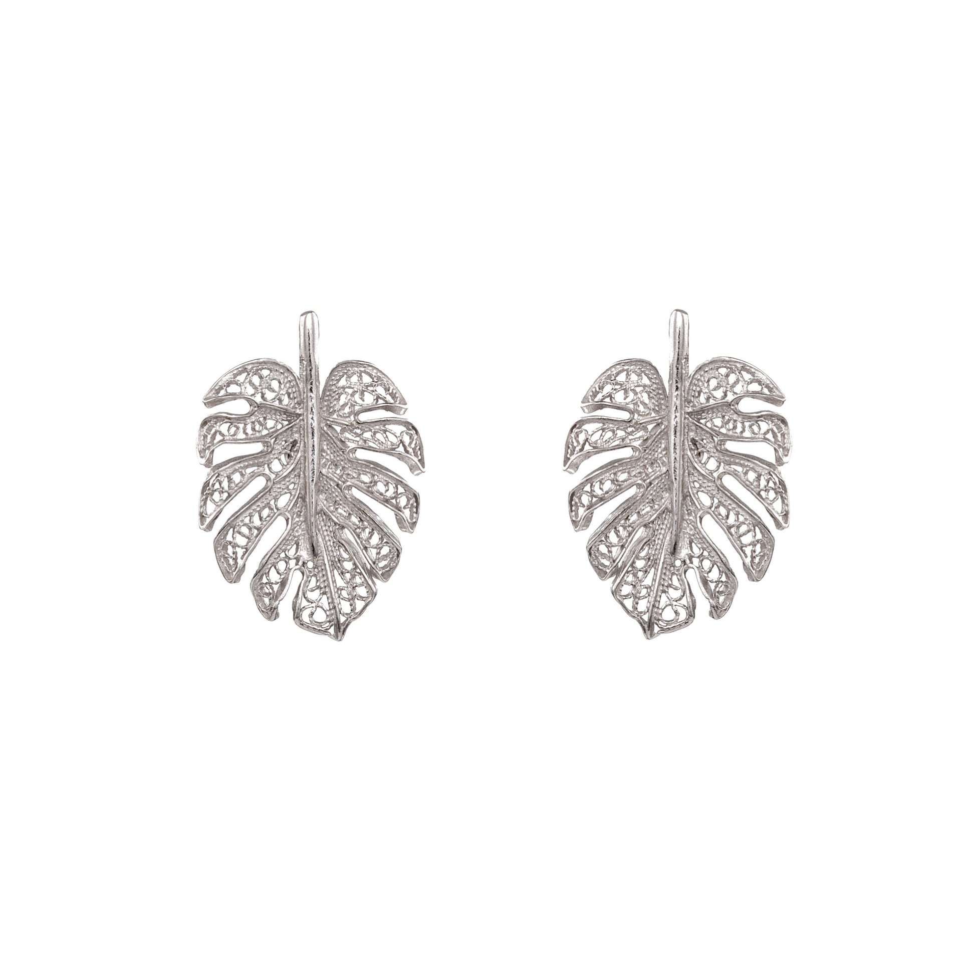 Earrings Monstera in Silver