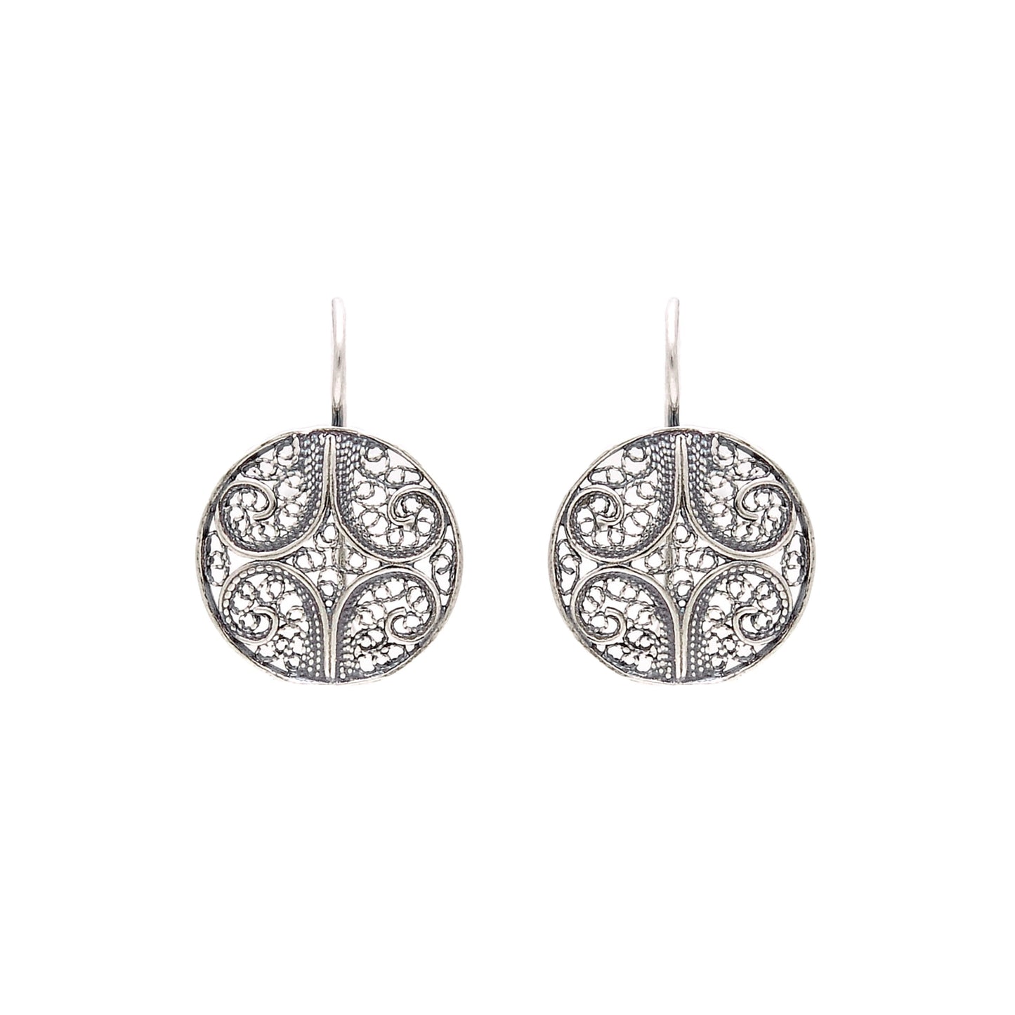 Earrings Circles in Silver