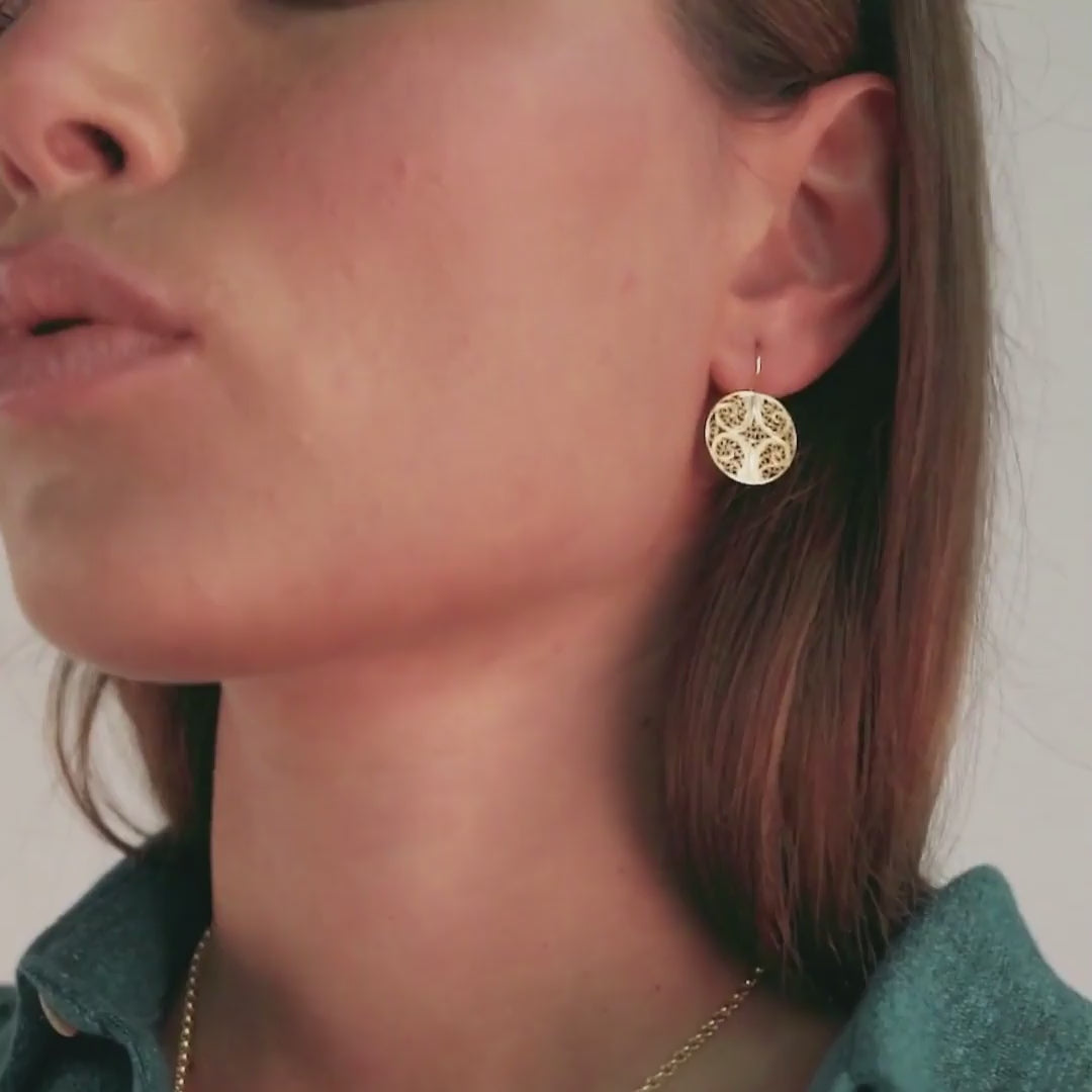Earrings Circles in 9Kt Gold